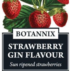 Botannix Strawberry Gin